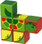 Geomag Magicube - obojživelníci