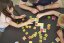 Geomag Magicube Word Building 79 pcs
