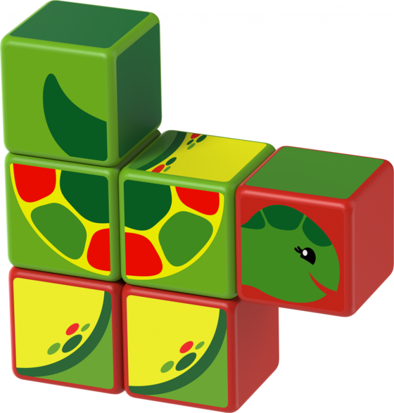 Geomag Magicube - obojživelníci